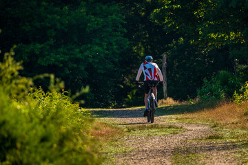 cyclist on a bike in the forest