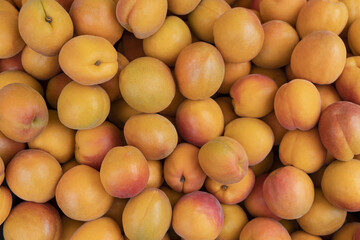 Fresh Ripe apricot fruit, full frame background, top view