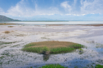 Beautiful wetland landscape on spring day.  Montenegro.  View of National Park Lake Skadar