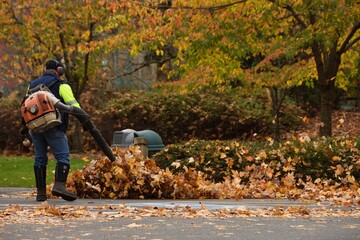 A man operating leaf blower to clean up the dried autumn leaves in the park. Blurred background....