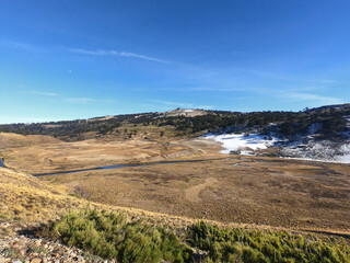 Alpine landscape in autumn. view of the yellow field, forest and mountain under a clear blue sky in the morning. 