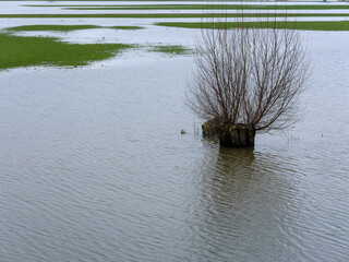 High water on the river IJssel