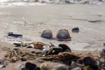 Strand mit Strandgut Brille 