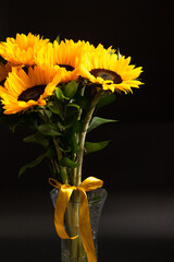 Bouquet of bright sunflowers against black background
