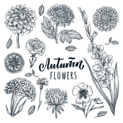 Autumn flowers set. Vector hand drawn sketch illustration. Blooming garden plants and floral design elements
