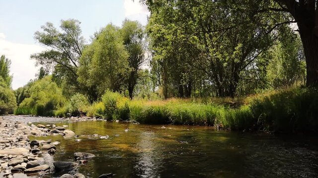 Stream of a river in G&ouml;k&ccedil;eyama&ccedil; Mah, Erzurum, Turkey.
Wonderful fresh water rapids in summer.
River stream in green nature forest landscape.
Zigzag river flows between summer valleys.
Wild nature
