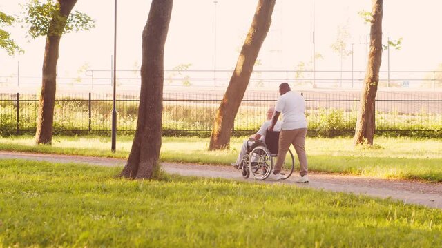 African-American caregiver and old disabled man in a wheelchair. Professional nurse and handicapped patient in the park. Assistance, rehabilitation and health care. Golden hour sunset.
