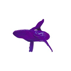 purple whale
