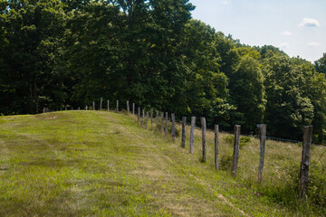 Fototapeta na wymiar Barbed Wire Fence along a pasture on the Blue Ridge Parkway.
