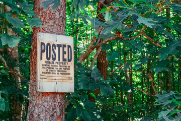 Posted No Trespassing sign on tree in forest