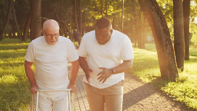 African-American caregiver is teaching disabled old man to walk with walker. Professional nurse and handicapped patient in the park. Assistance, rehabilitation and health care. Golden hour sunset.