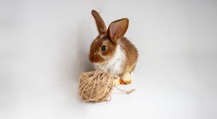 A red and brown rabbit sits near a skein of thread on a white background