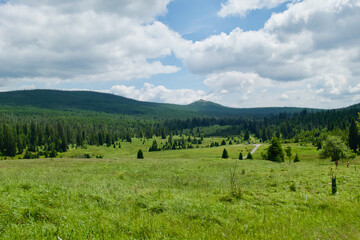 Fototapeta na wymiar Šumava landscape in the middle of summer