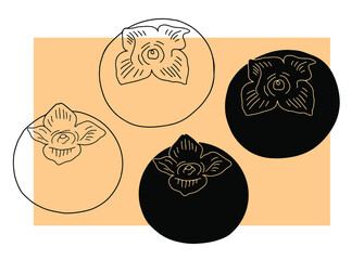 Persimmon drawn with a black line. Vector