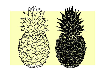 Pineapple drawn with a black line. Vector