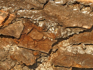 marble wood concrete background