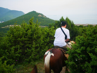 A young guy in a white T-shirt walks on a horse through the woods. A rider on a horse is walking through a large and dense green forest.