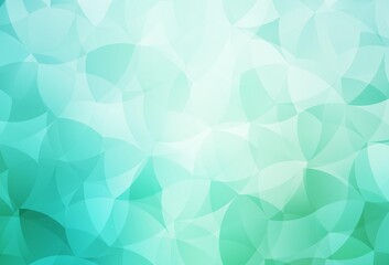 Fototapeta premium Light Green vector low poly background.