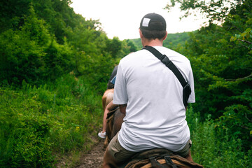 A young guy in a white T-shirt walks on a horse through the woods. A rider on a horse is walking through a large and dense green forest.