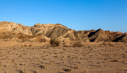 Namib-Naukluft-Nationalpark bei Swakopmund, Namibia