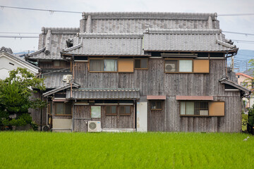 Large wooden farmhouse in traditional Japanese style next to vibrant green rice field - 444479228