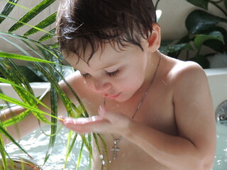 Agua