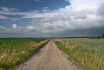 Fototapeta na wymiar A dirt road in the countryside