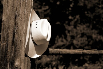 A white straw cowboy hat resting on a fence post, with farmland in the background.