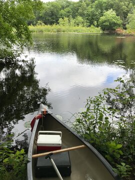 Yakin' it Up