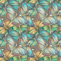 Obraz na płótnie Canvas Botanical abstract pattern. Butterflies seamless pattern hand drawn.