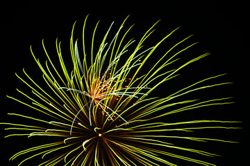 fireworks on the sky