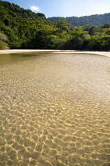 ruver in the forest Rio de janeiro Brazil 