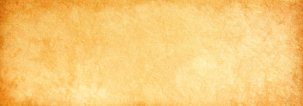 Old brown banner background , texture of old rough paper