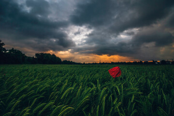 After a thunderstorm