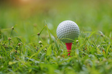 Golf ball on tee ready to play in a beautiful golf course with morning sunshine.