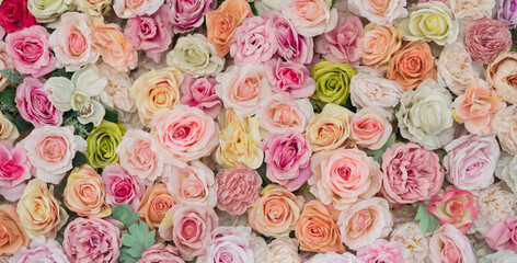 wedding flower decoration selective focus, soft focus of white flower