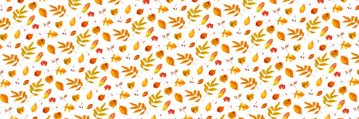 Banner made with natural autumn leaves and berry on a white background, as a backdrop or texture. Fall wallpaper for your design. Top view Flat lay