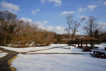 a winter landscape of snow