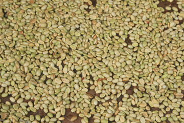 Pattern and texture of fresh raw coffee being dried. fresh coffee for your spirit.