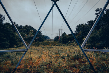 Many old power lines and utility powers with electricity cables in a forested tree filled rural suburban area or a cloudy gray sky., seen through thee base of a power pole - Powered by Adobe