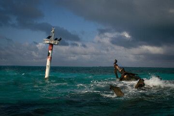 An almost completely sunken boat and lighthouse in ocean.