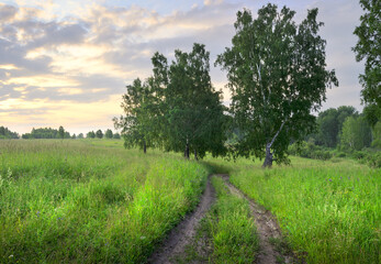 The road in the summer field