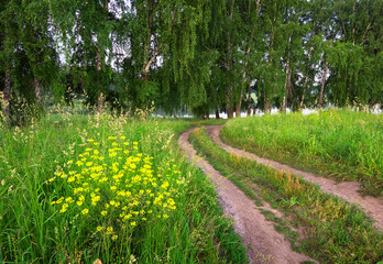 The road in the summer field