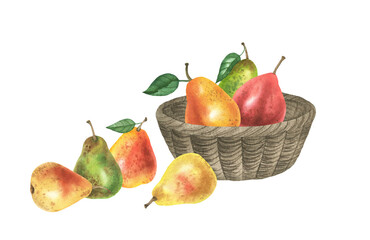 Pears in basket