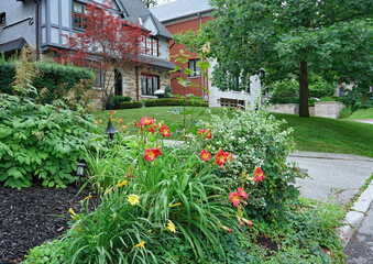 Fototapeta premium colorful flowers in front garden on a residential street