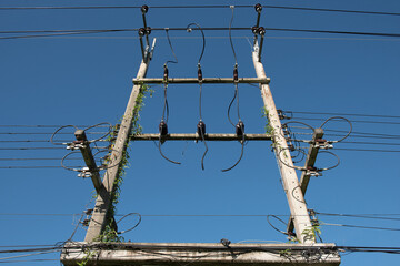 High electric voltage  post without transformer on blue background.Electric post is covered by ivy.