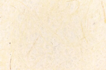 Pattern of wall paper