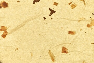 Texture of Korean crafts paper