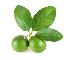 Lime fruit with leaves isolated on white background