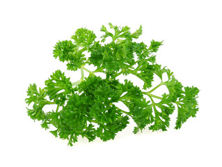 parsley isolated on white background